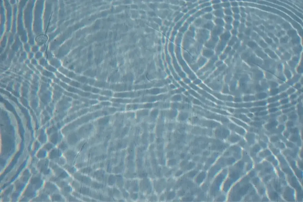 1 PxmXrJLhXyVLp1By0WYf4g@2x 11zon