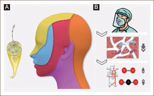 2604 6180 rmn 21 4 124 gf1