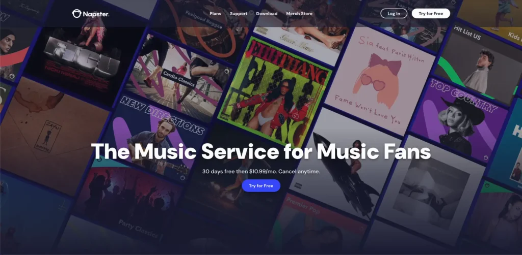 Napster music dashboard