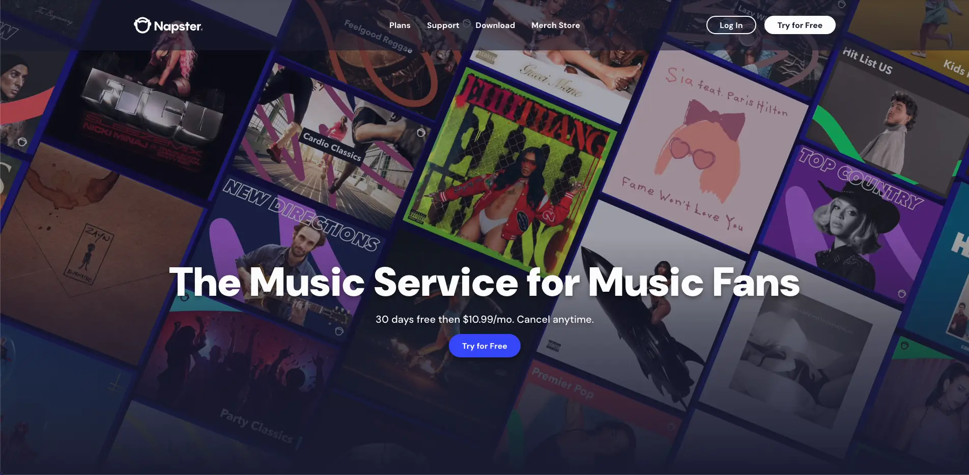 Napster music dashboard
