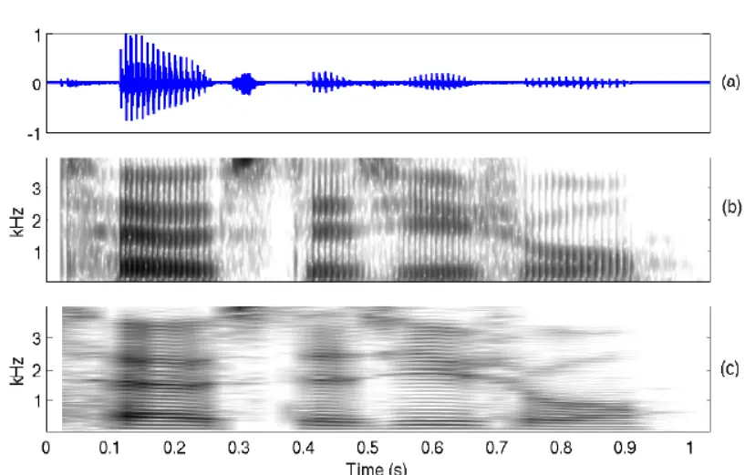 Waveform and spectrogram visualizations showing frequency patterns over time in three panels labeled a, b, and c.
