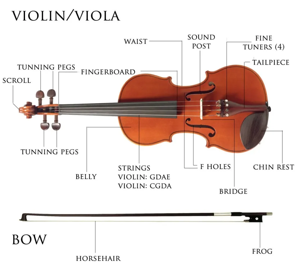 Diagram of a violin labeled with parts, emphasizing cheap violins' features like fingerboard, bridge, and chin rest.
